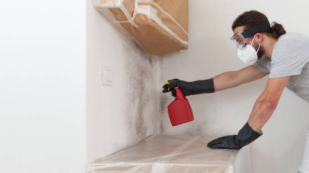 Professional Bathroom Mold Removal technician working in Vincentown, NJ