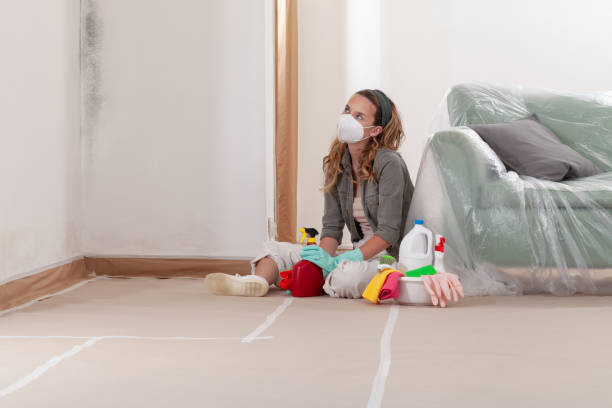 Reliable Bathroom Mold Removal contractor in Vincentown, NJ by 24 Hour Mold Removal